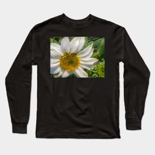 White Coneflower Newly Opened by Debra Martz Long Sleeve T-Shirt